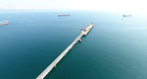 Additional_Picture_1_Blue_Dolphin_Jetty